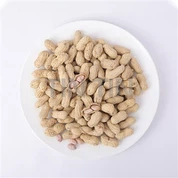 Röstitud maapähkel koorega