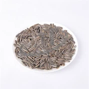 Päevalilleseemnete tuumad