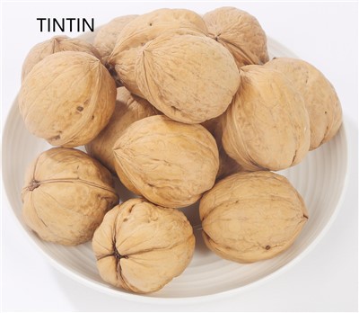Factory Supply Lowest Price Chinese Walnut In Shell