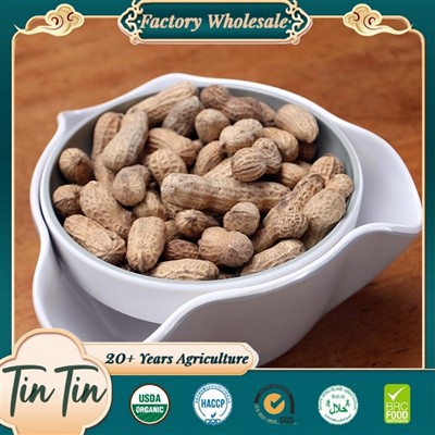 Esmaklassilised koorega maapähklid paremaks elamiseks